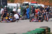 20110501_ales_agnus (2073)